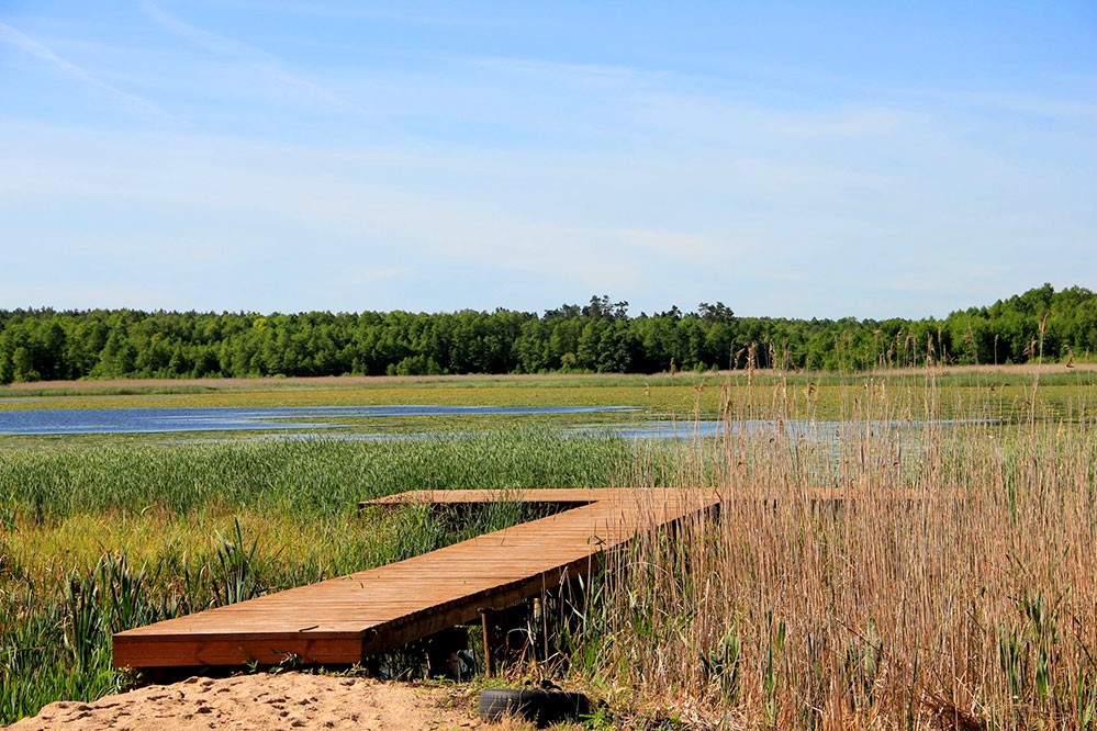 inwestycje w ziemię